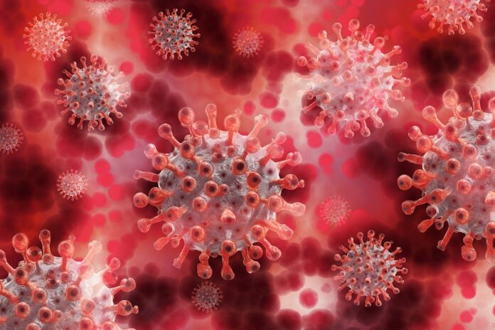 coronavirus- costa da morte